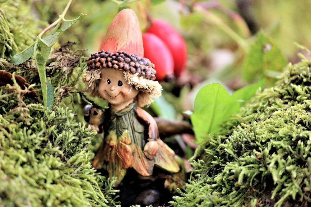 How To Make A Miniature Fairy Garden
