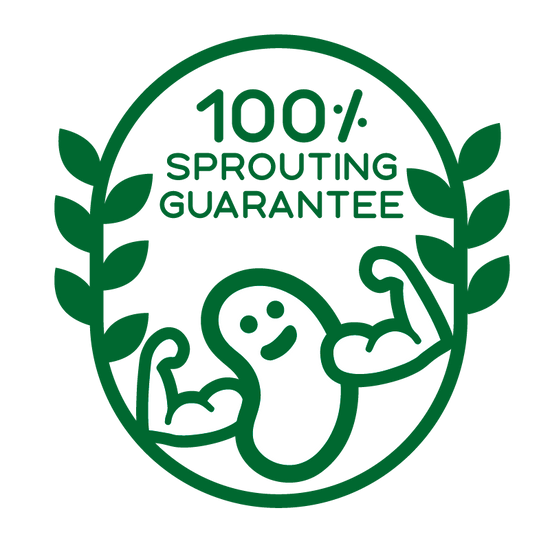 product replacement guarantee icon