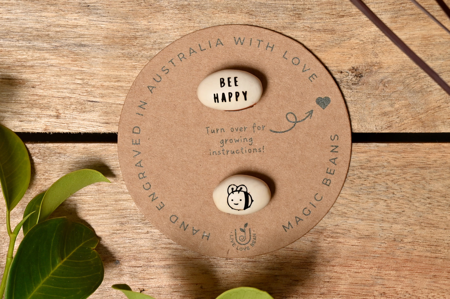 Bee Gift Bean (Bee Happy)