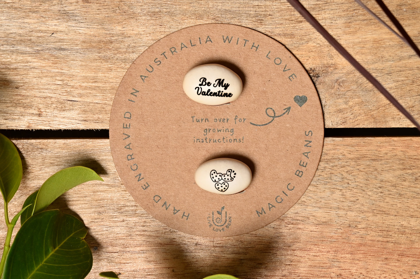 Be My Valentine Bean With Double Hearts