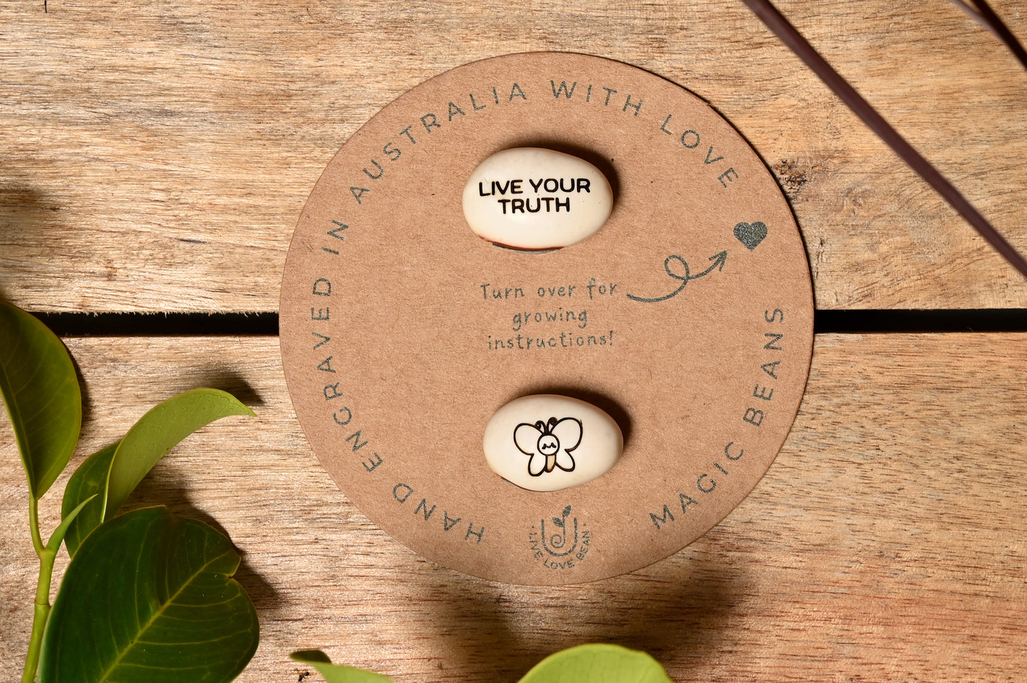 Live Your Truth Beans