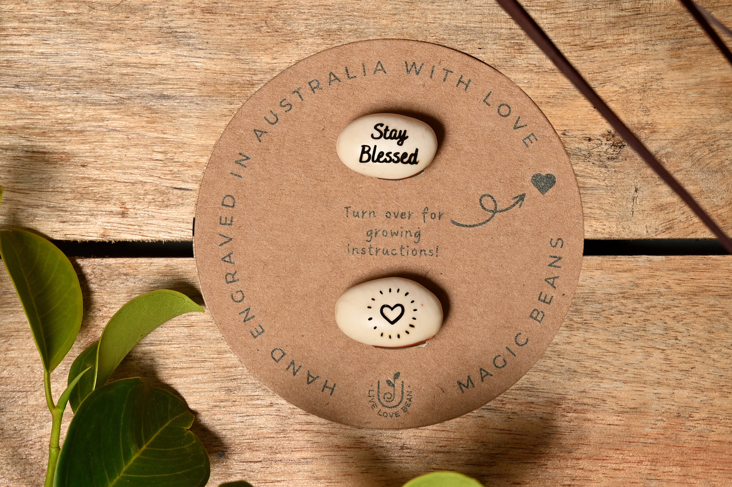 Stay Blessed Gift Set Beans