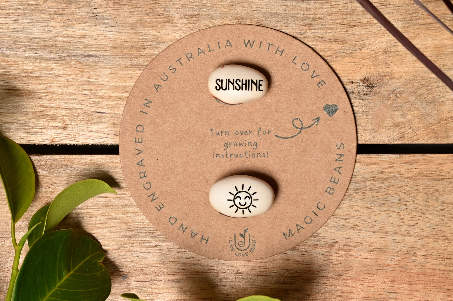 Sunshine Gift Set Beans With Smiling Sun