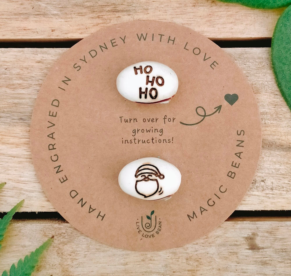 Santa Bean (Ho Ho Ho)
