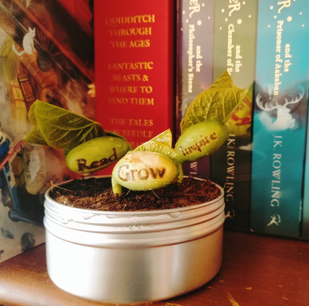 book week 2023 read grow inspire materials