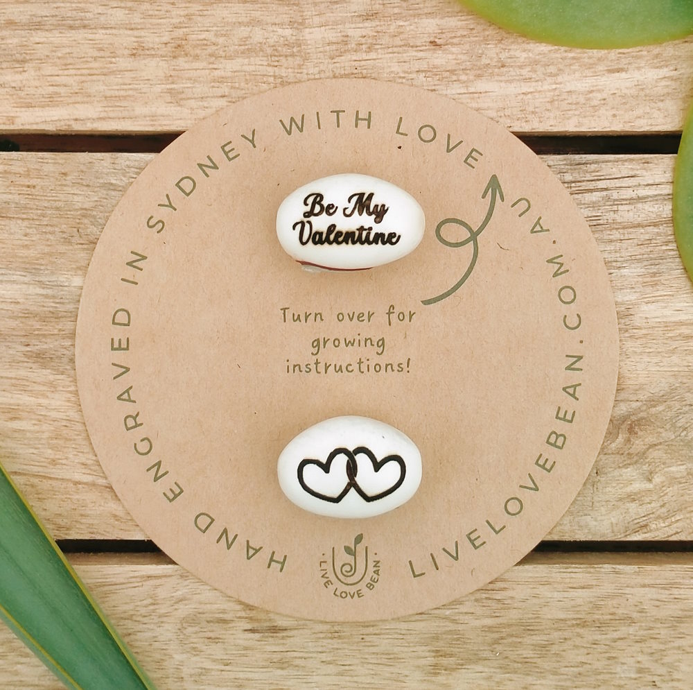 gift saying be my valentine on backing card