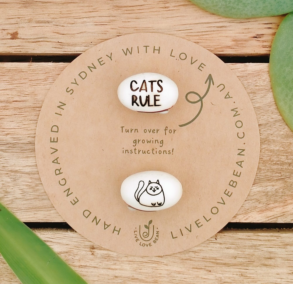 gift for cat lover saying cats rule