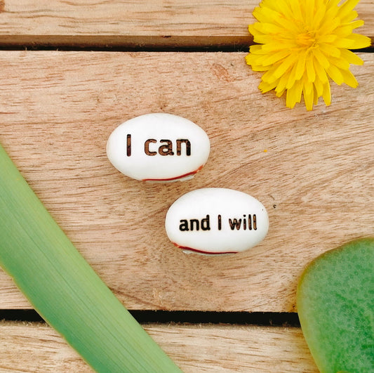 i can and i will journal or wallpaper alternative in bean form