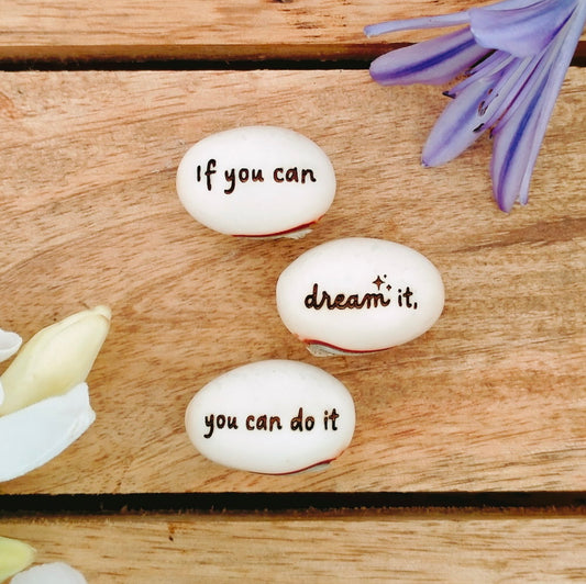 if you can dream it you can do it poster alternative beans