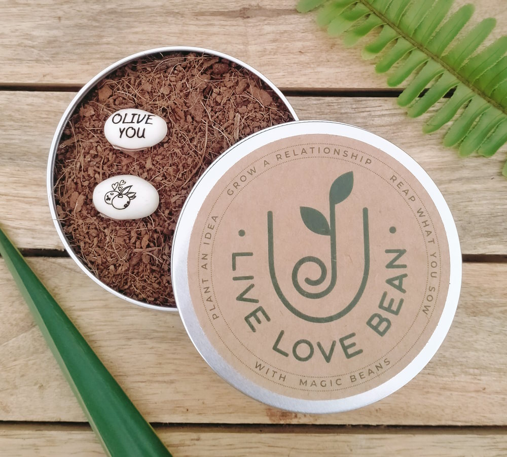 two magic beans in coir pot