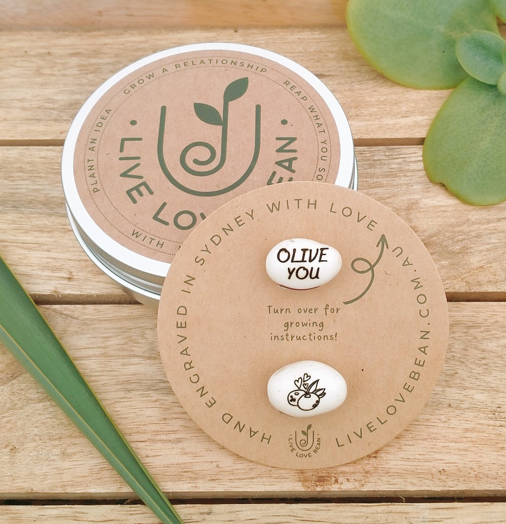 gift set with plants