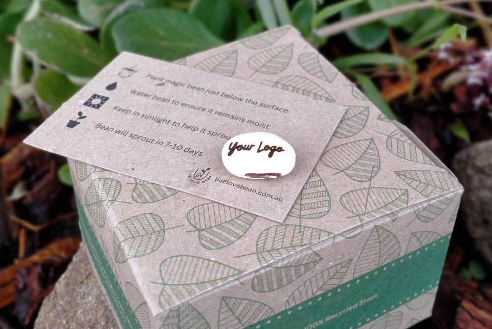custom corporate gift of magic bean