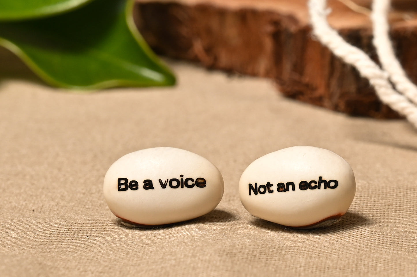 Be A Voice Not An Echo Beans