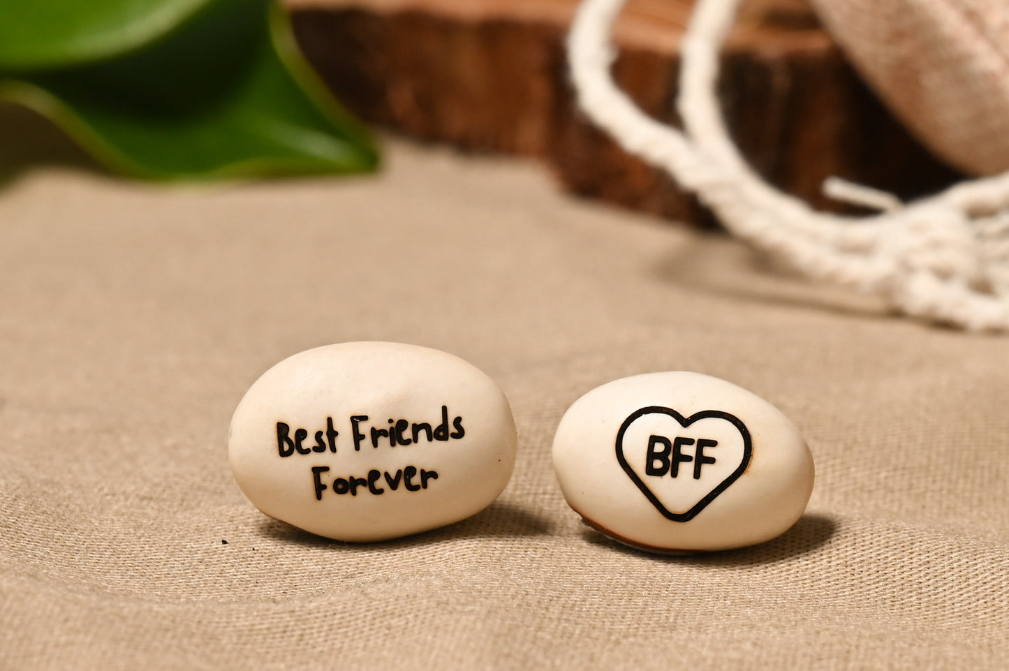 Best Friends Forever Bean (BFF)