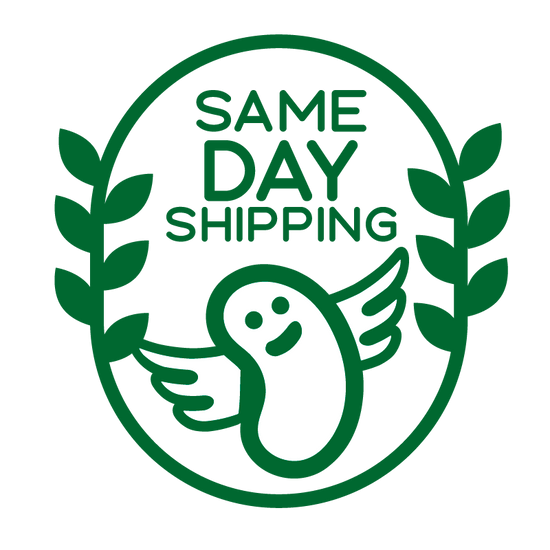 same day shipping icon