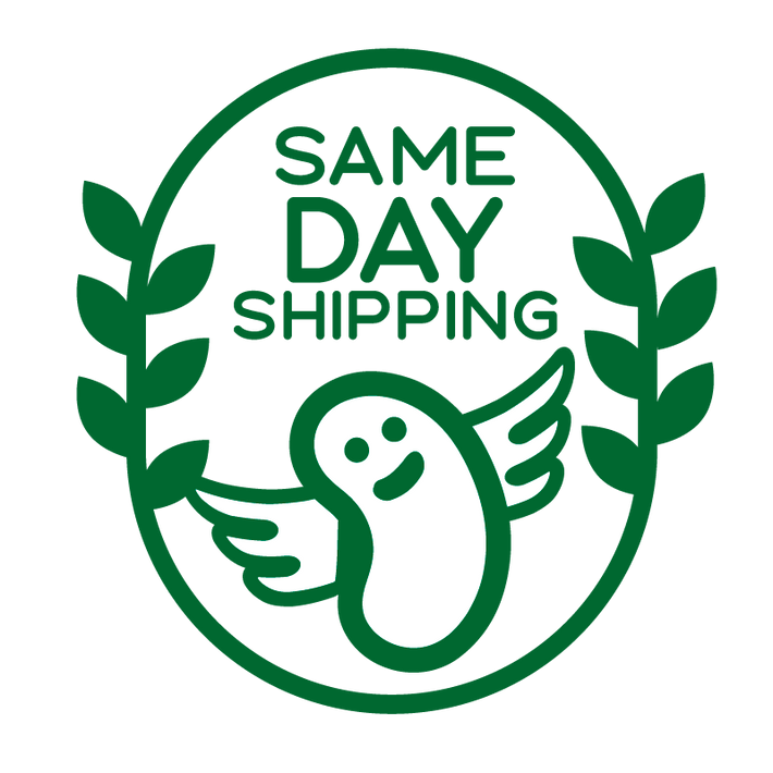 Magic Beans Unique Gifts & Promotional Products Live Love Bean