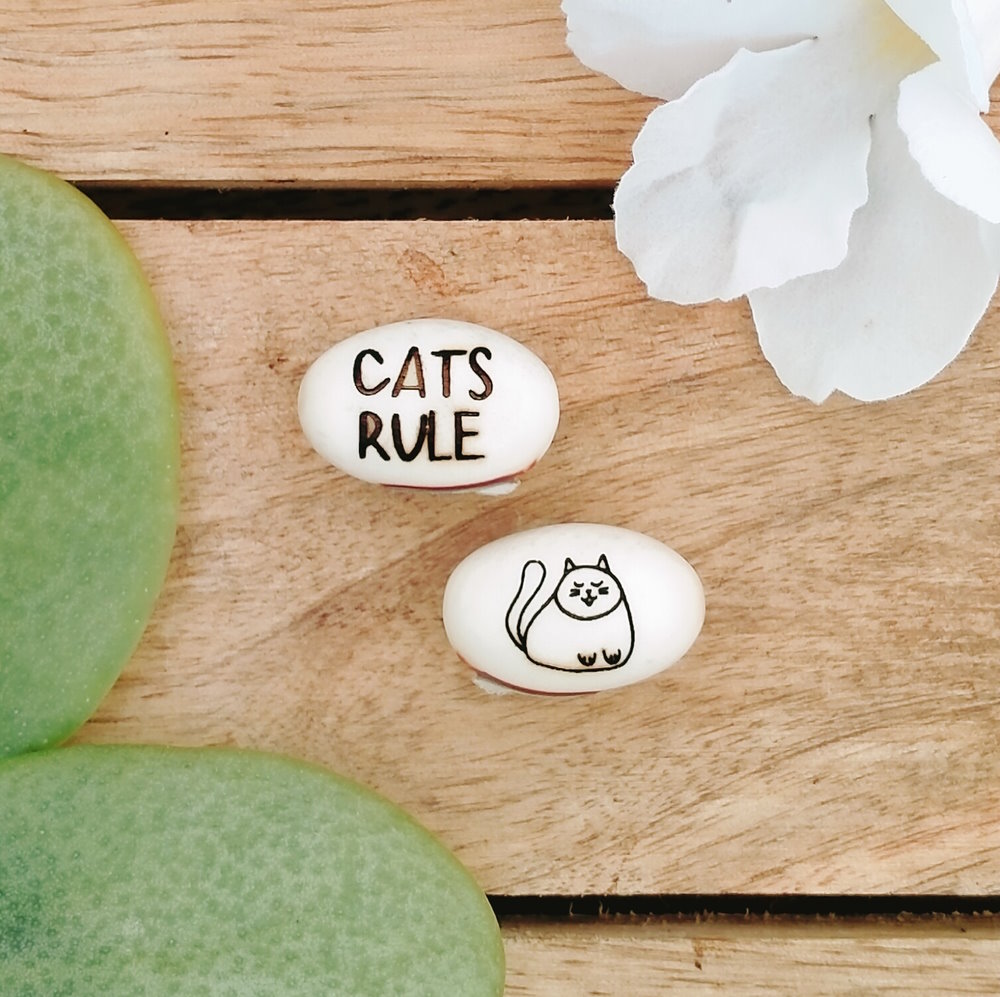 cats rule gift set beans