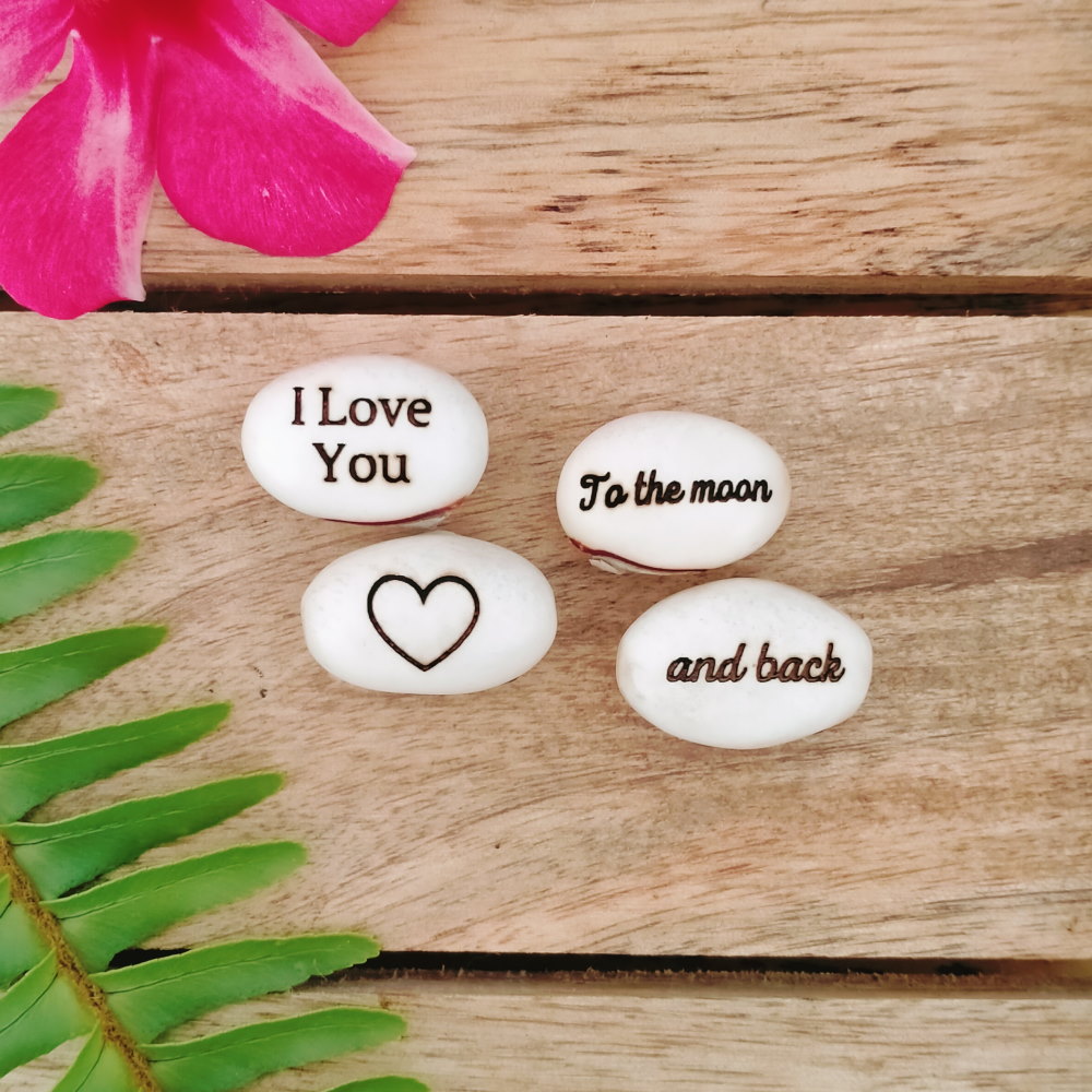 love you to the moon and back gift bean set