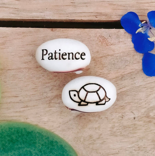 tortoise gift with the word patience