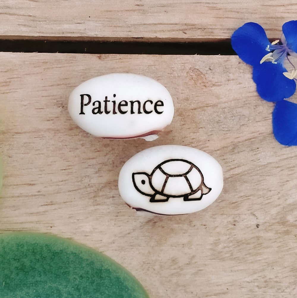 tortoise gift with the word patience