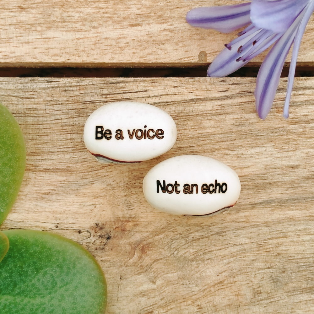 be a voice not an echo gift beans on wood